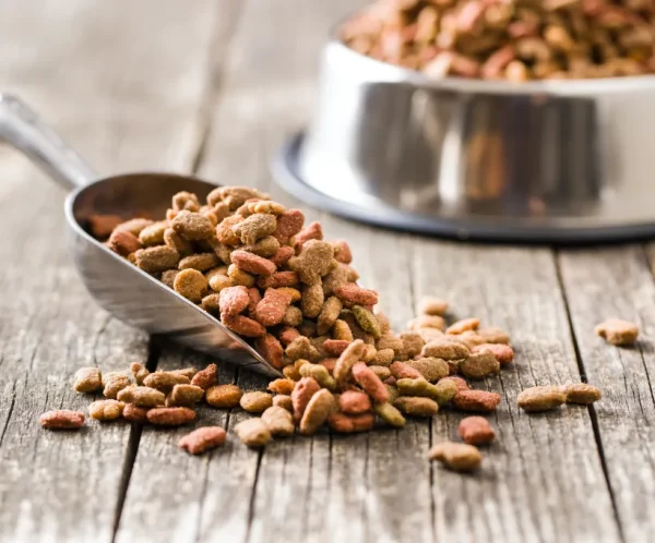 product-thumb-10_optimized Premium Dog Food