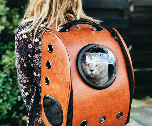 raoul-droog-Ea8rP2Ebp_4-unsplash_optimized Pet Carrier Bag